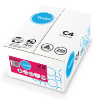 ENVELOPE TUDOR C4 WHITE PEEL/SEAL U/B BX250